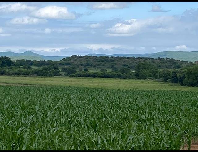 18HA FARM FOR SALE IN WEENEN